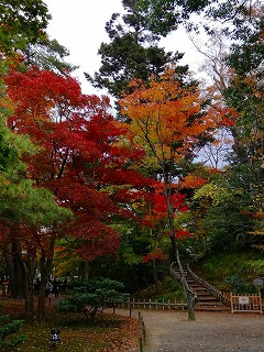 つかの間の秋、紅葉
